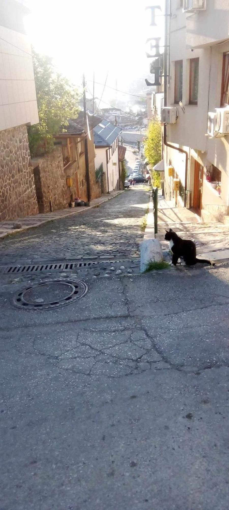 Himber Sarajevo